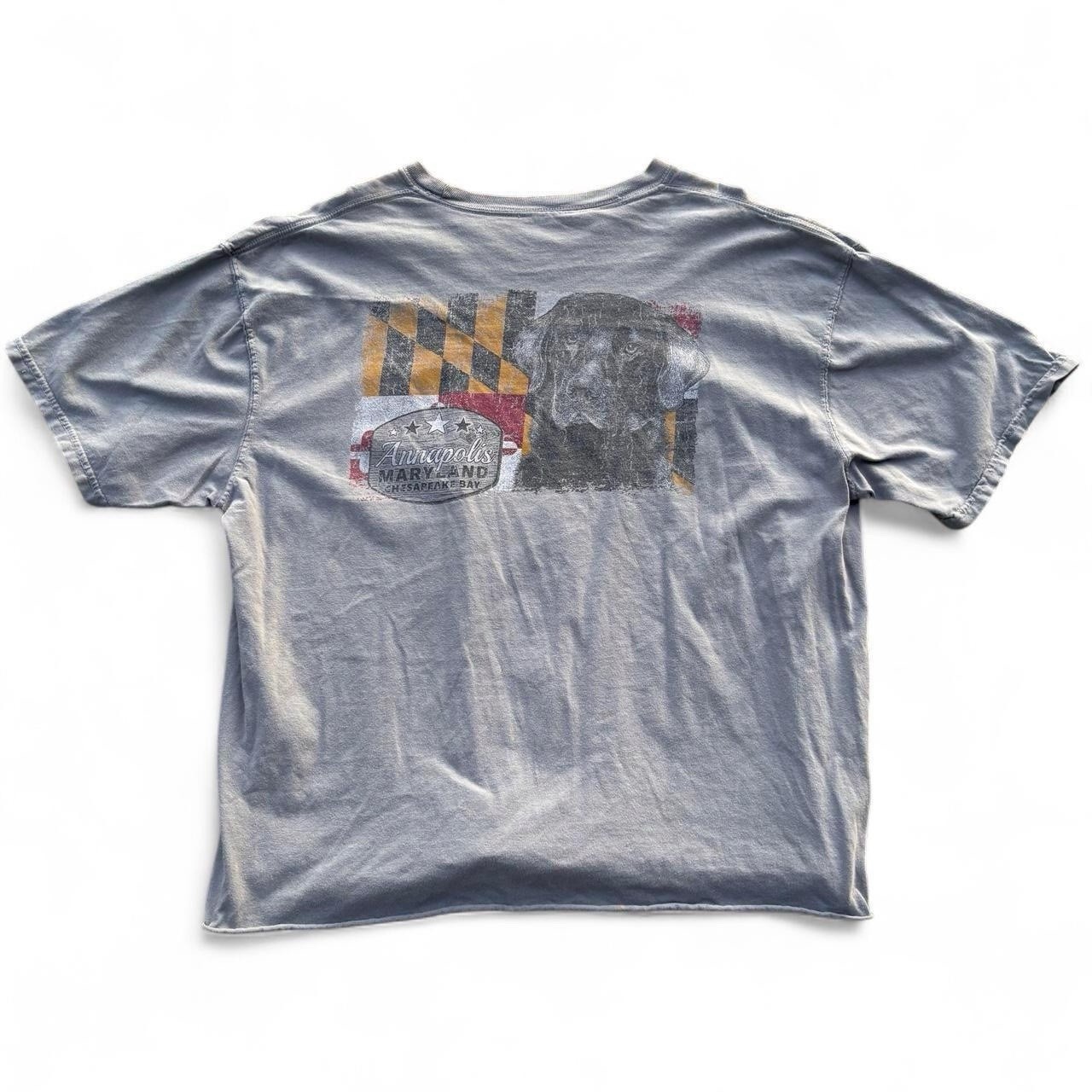 grey cropped annapolis maryland graphic tee Ships same day/next unisex graphic