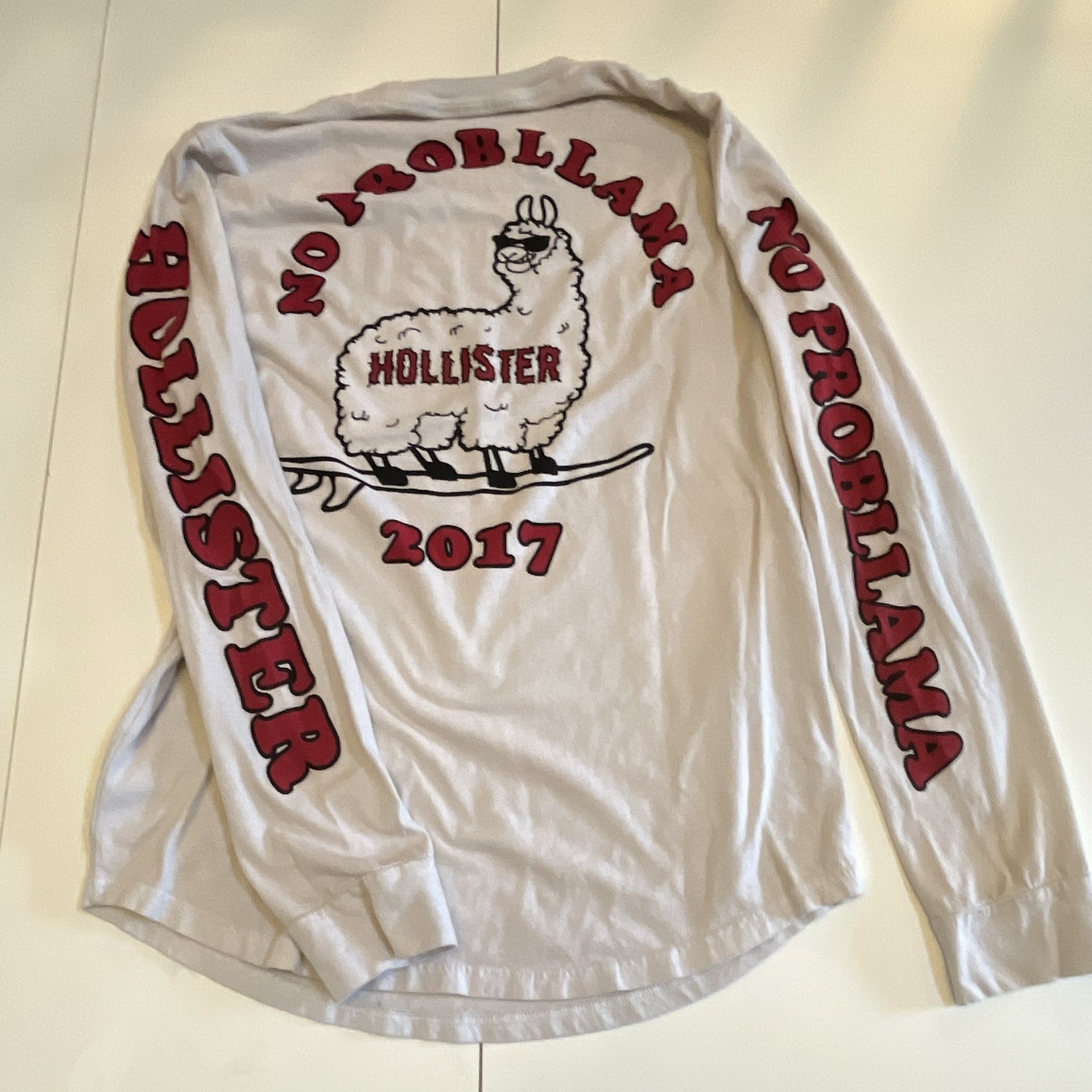 Hollister No Problema Llama Graphic Long Sleeve Cotton T-Shirt White M