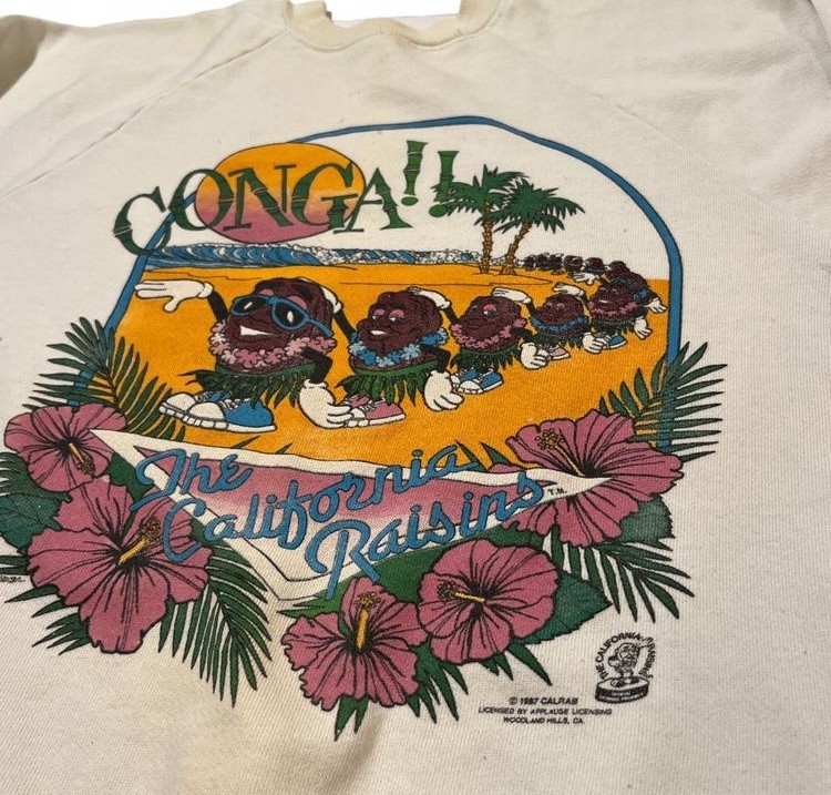Vintage California Raisins Conga Line Sweatshirt 80s Made In USA Dancing gallery