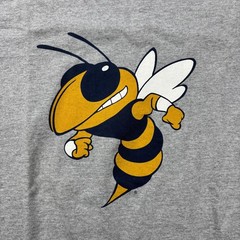 Vintage 90s Georgia Tech Yellow Jackets Long Sleeve T Shirt Mens M Gray Spellout