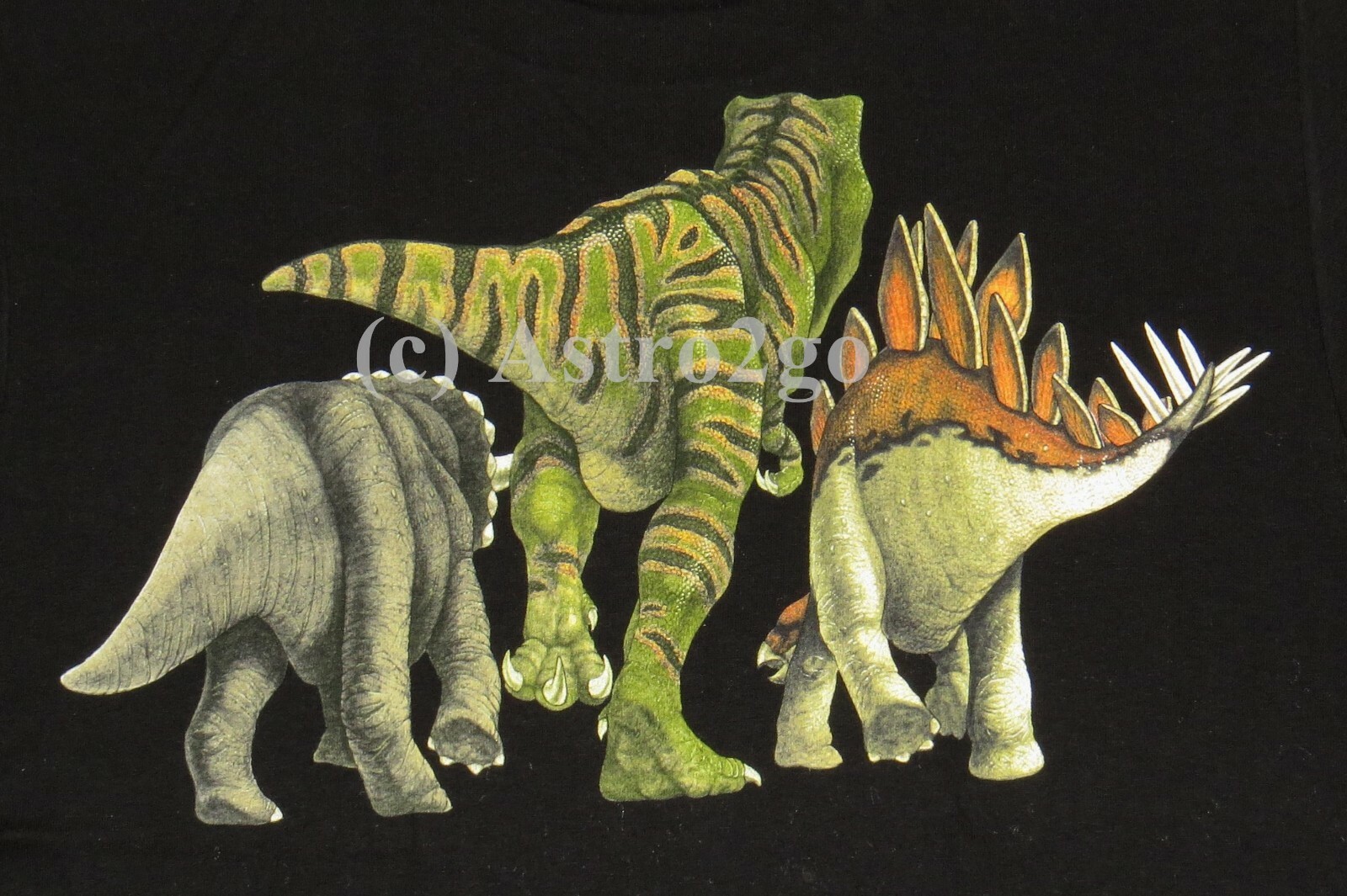 DINO HEADS & TAILS-Dinosaur T Rex Stegosaurus Triceratops Jurassic T shirt M-2XL gallery
