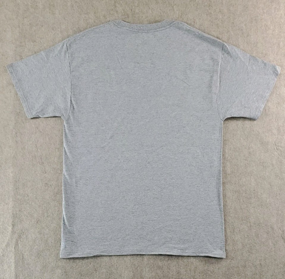 Hanes Comfort Soft Mens Short Sleeve T-Shirts Grey -Lot of 5- Size Medium. New! gallery