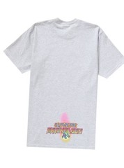 Supreme Electromagnetic Ash Grey Tee SS24 Size Large New sealed