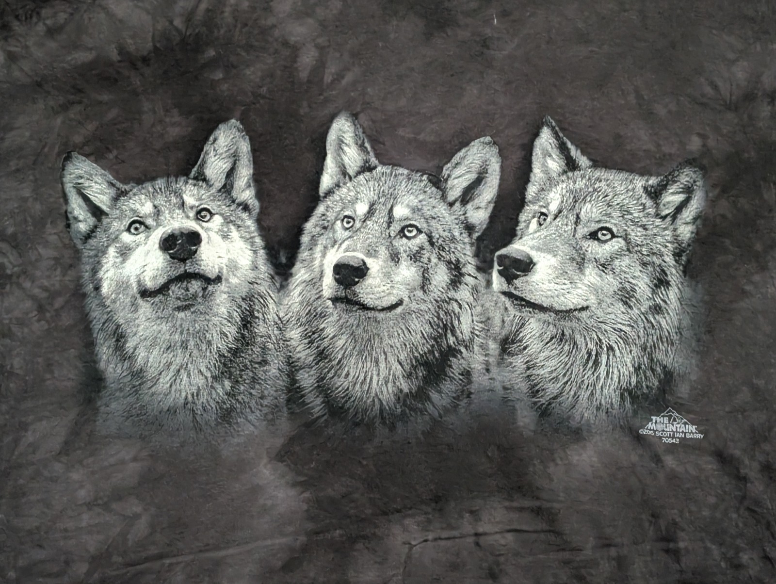 The Mountain Men's T-shirt Black The Mt. Traid Wolves Retired Logo 2XL 1755 NWOT gallery