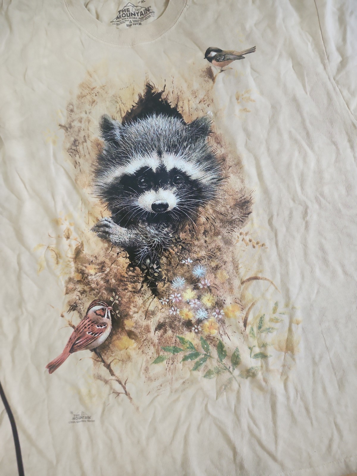 The Mountain Mens T-shirt Vintage 2005 Beige Raccoon In Tree XL gallery