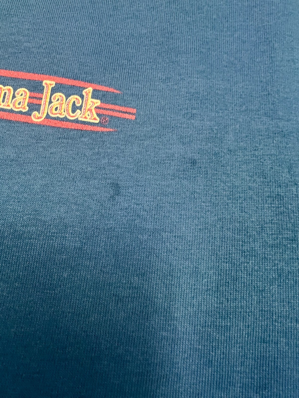 Panama Jack T-shirts, Size LG, Lot of 3,Cotton Blend Heavy Weight Unisex Blue gallery