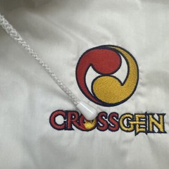 CROSSGEN Comics Vintage Mystic Jacket XL Windbreaker Hartwell Via Sport Full Zip
