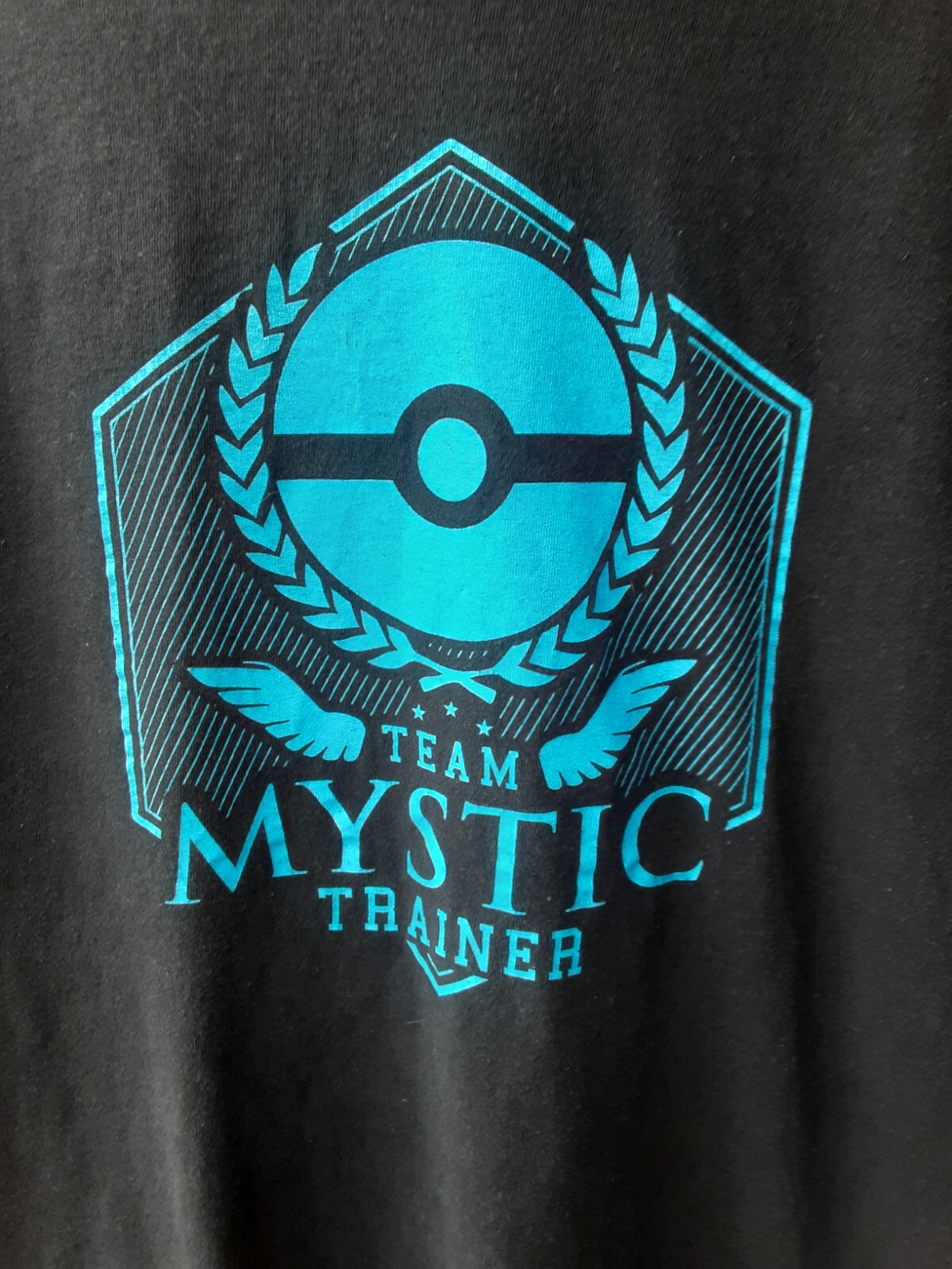 Pokemon Team Mystic Trainer M Medium T Shirt Black Gildan