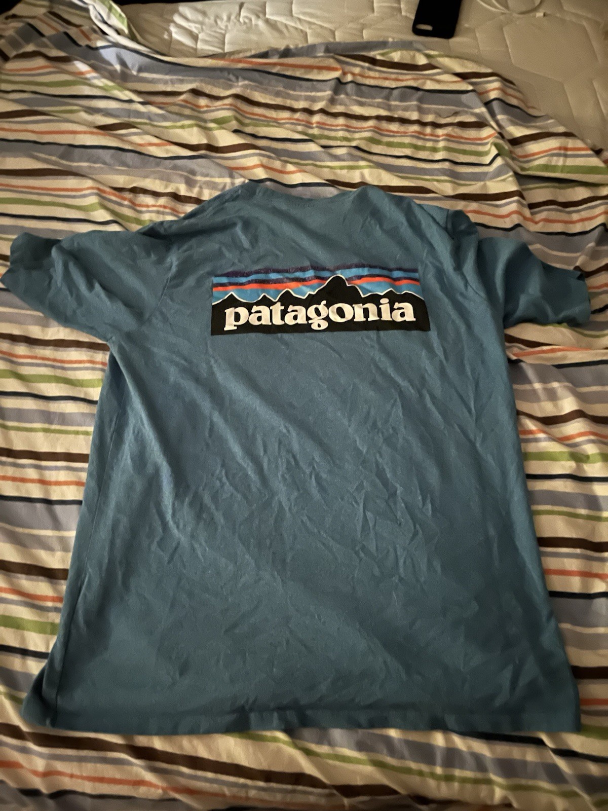 Patagonia Men's M Blue Cotton Crew Neck Short Sleeve Logo Graphic T-Shirt gallery