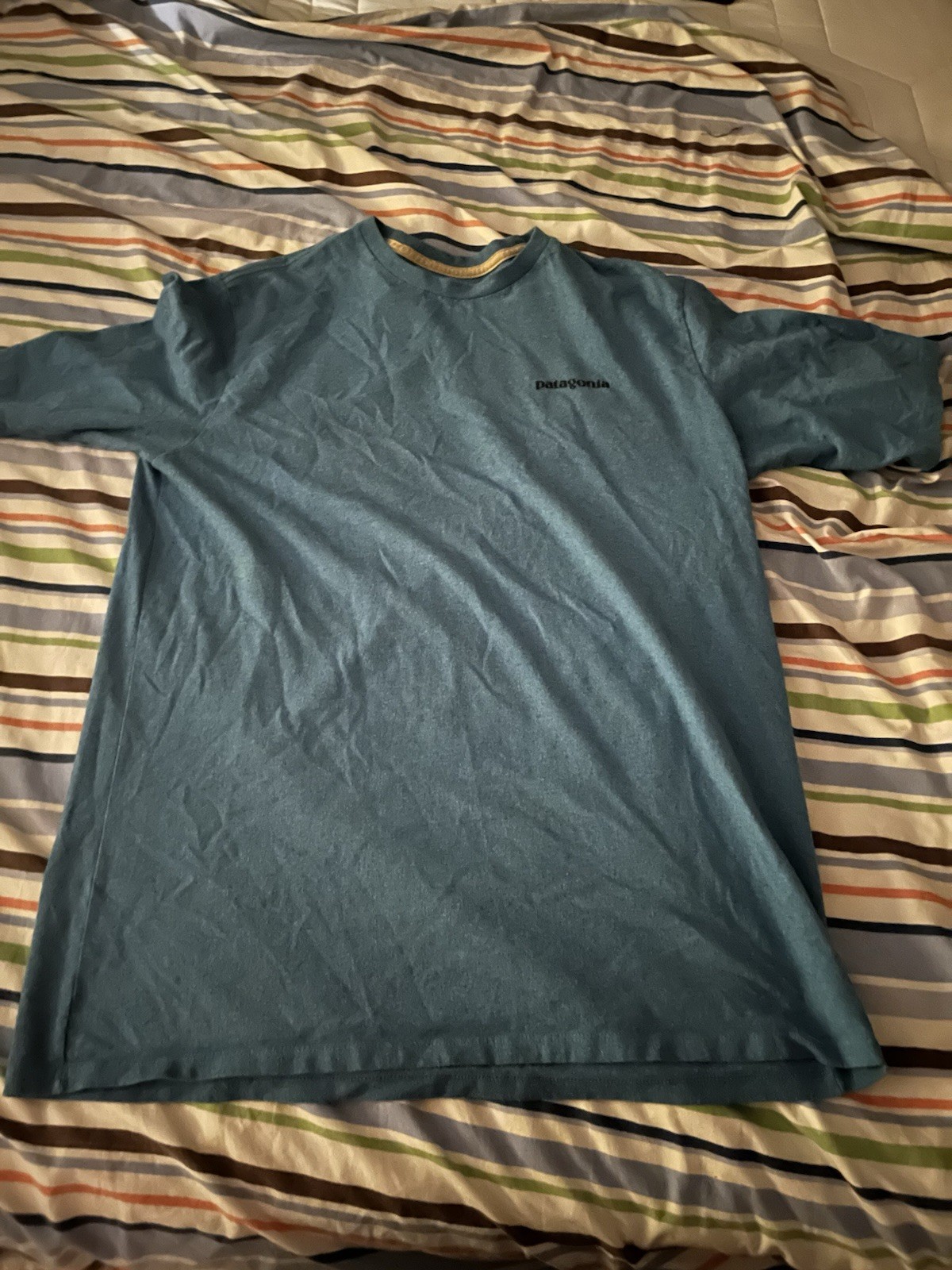Patagonia Men's M Blue Cotton Crew Neck Short Sleeve Logo Graphic T-Shirt gallery