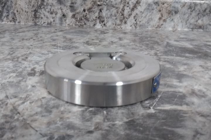 Champion 2SDS15-SSP-R 2 In Pipe Size Flange Connection 32 GPM Check Valve