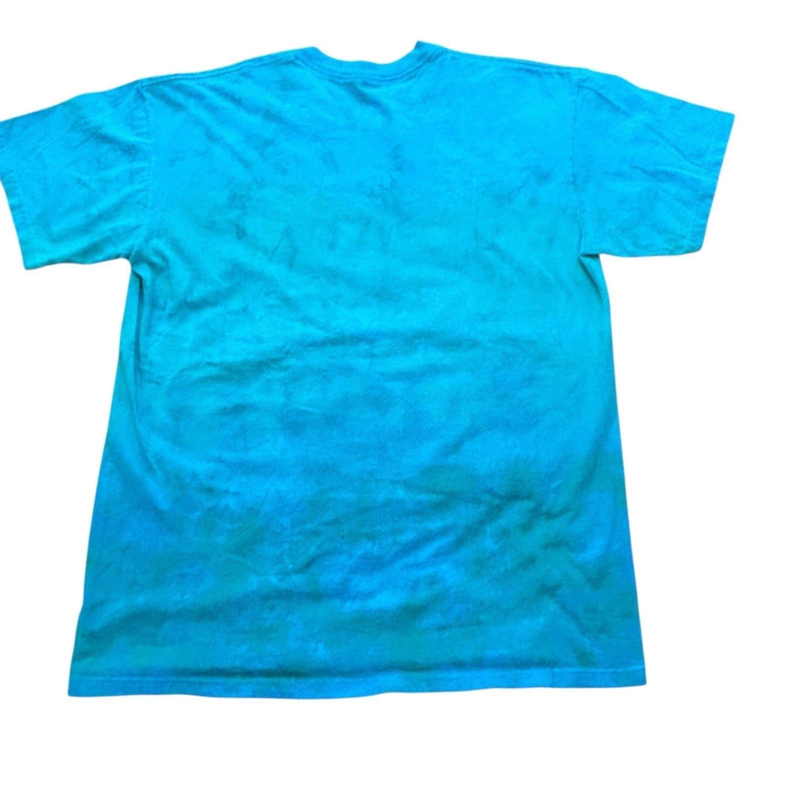 Liquid Blue Sea Turtles Aquatic Nature Blue Cotton Graphic Tee Men's Size Large gallery