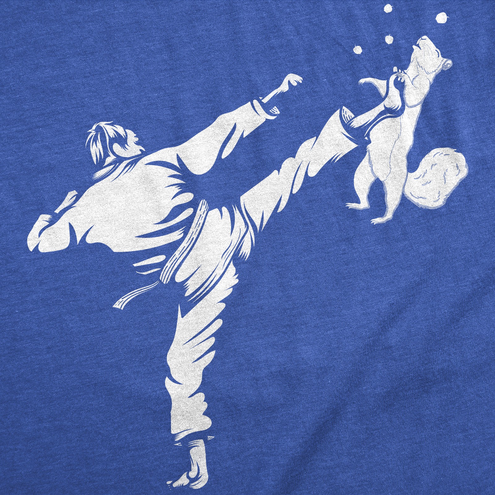 Mens Funny T Shirts Karate Kicked Squirrel Sarcastic Fighting Graphic Tee gallery