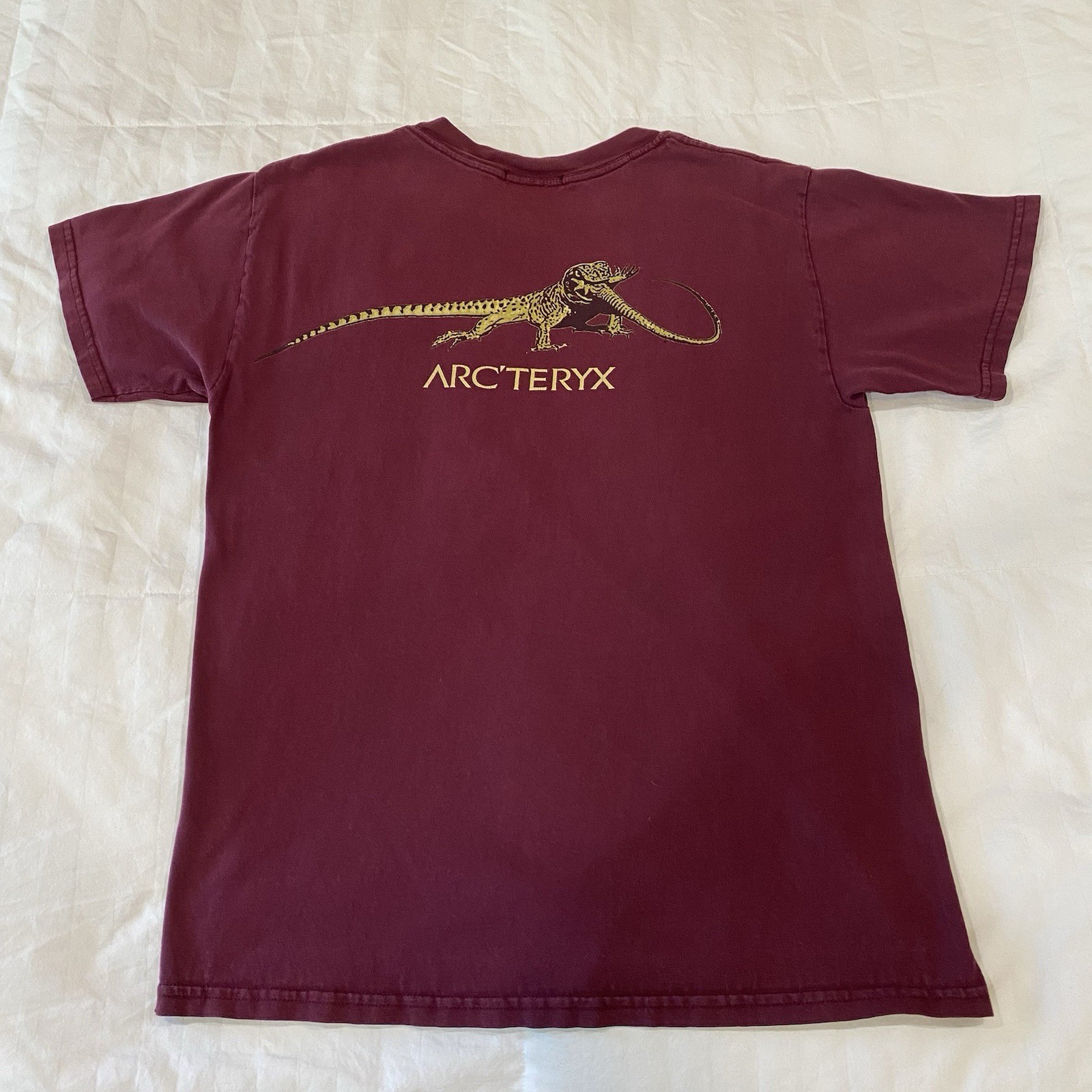 Vintage Arc’teryx Big Tag Lizard Eat Lizard Tee - Men’s Medium - Ultra Rare gallery