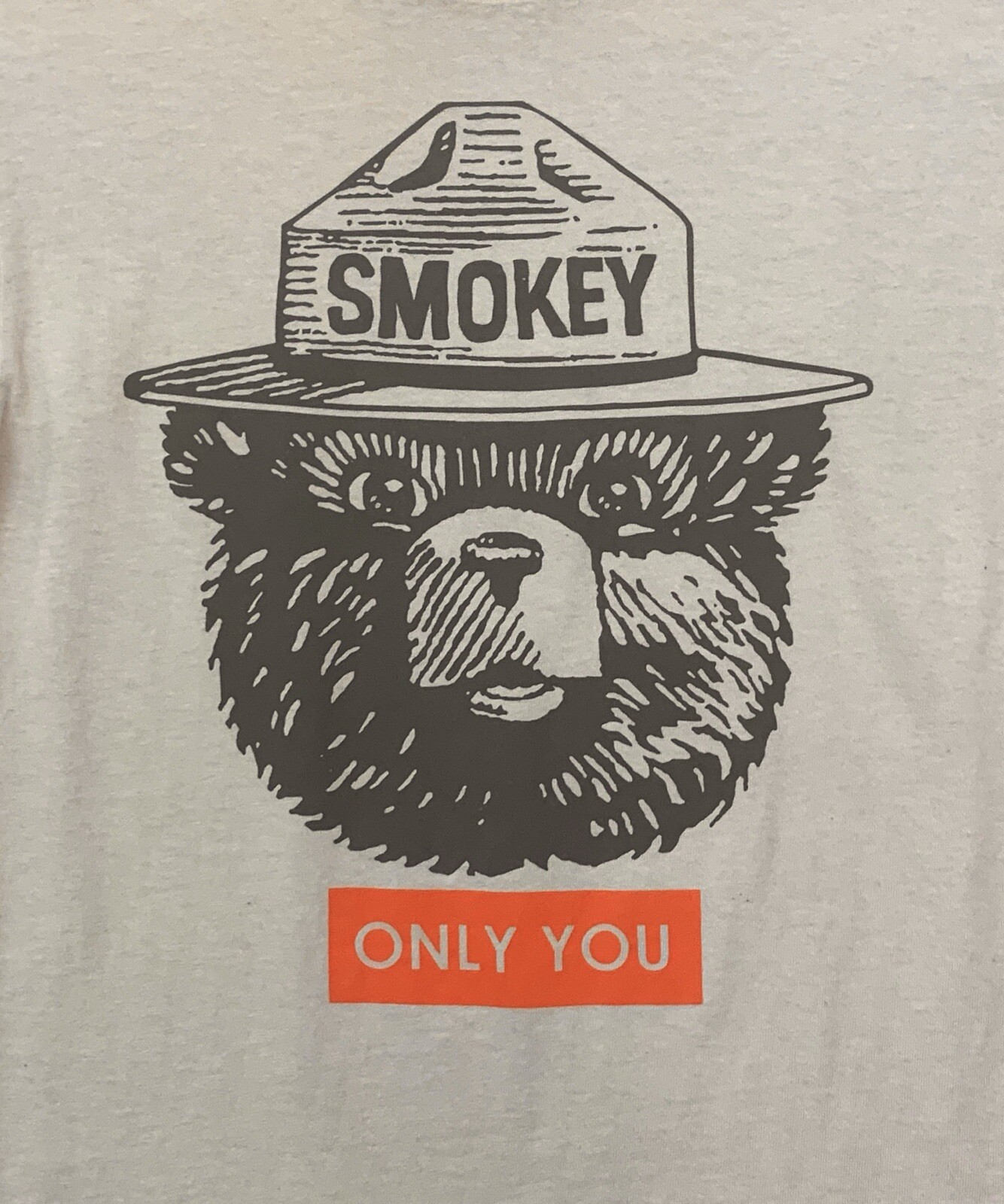 Smokey The Bear Only You Forest Fire Prevention T-shirt Size Small Brown Cotton gallery