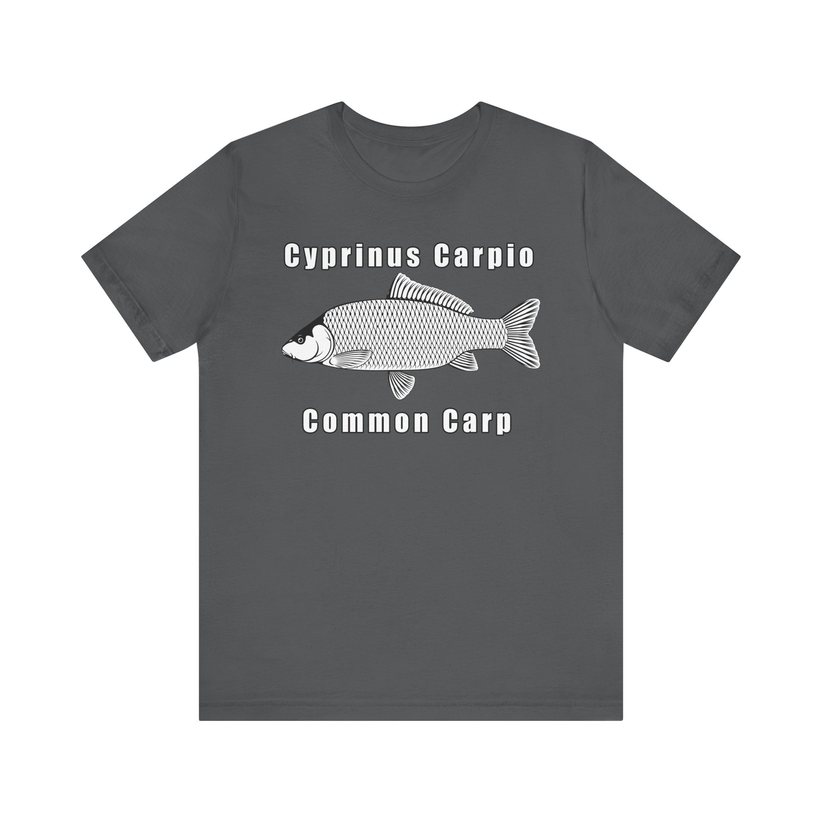 Cyprinus Carpio Common Carp Bella+Canvas 3001 gallery