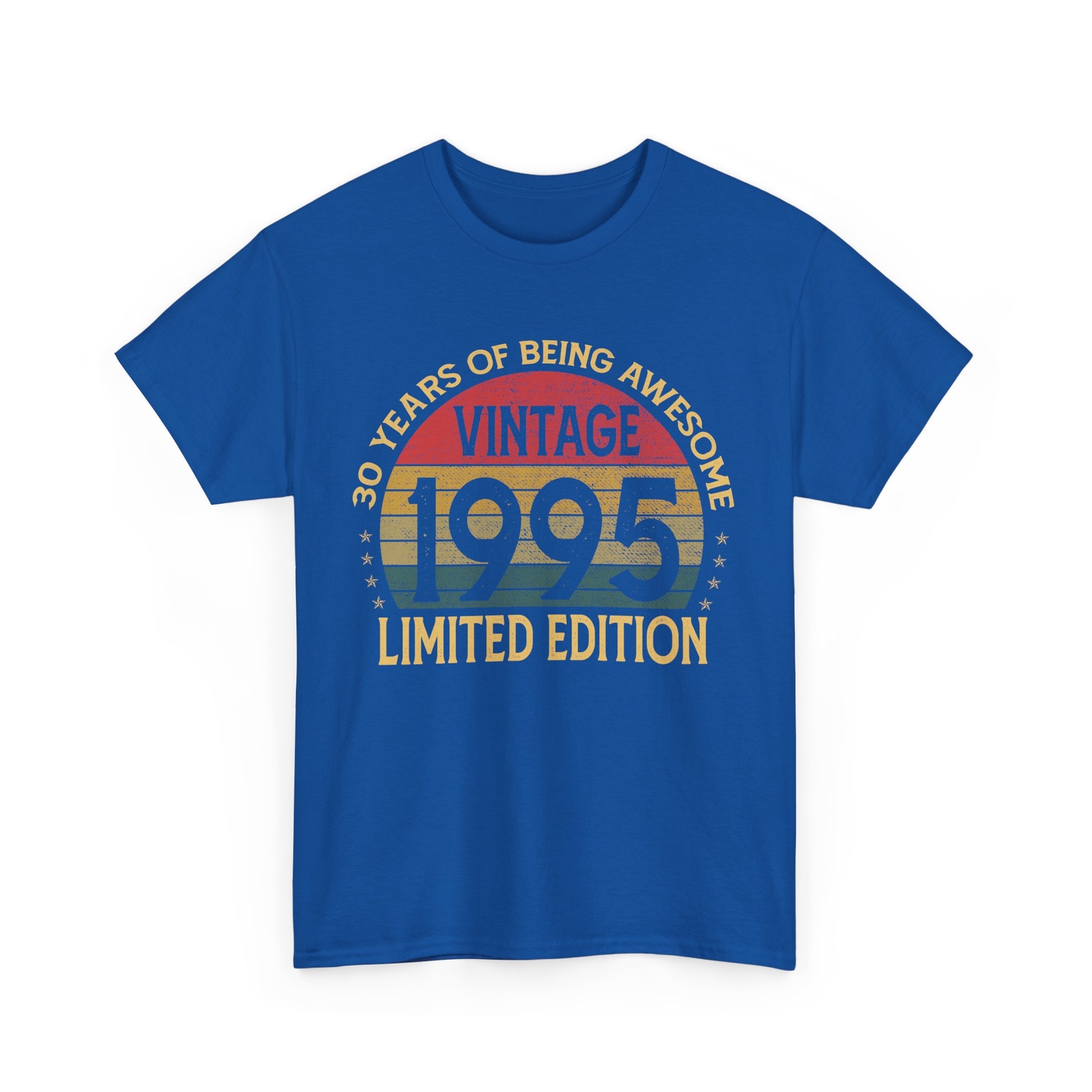 Vintage 1995 Limited Edition 30-Year-Old Gifts 30th Birthday T-Shirt