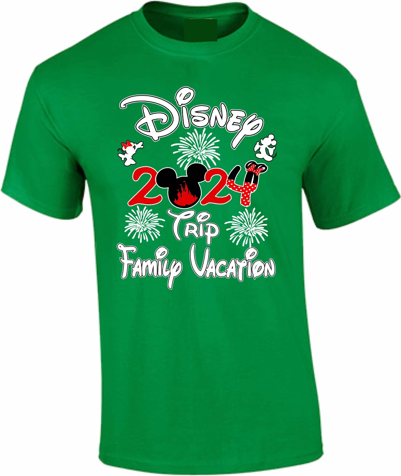 Disney Family Vacation 2024 fire works, Mickey, Minnie, Family Trip, Squad gallery