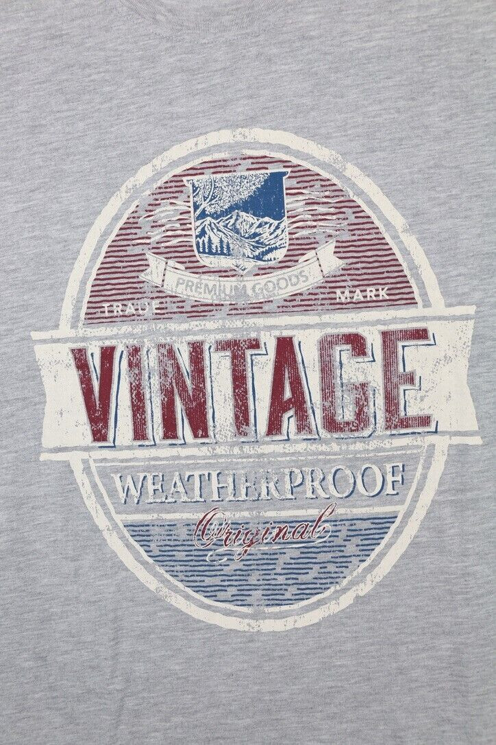 Weatherproof Vintage Graphic Tee Gray Heathered Size XL Distressed Crew Neck gallery