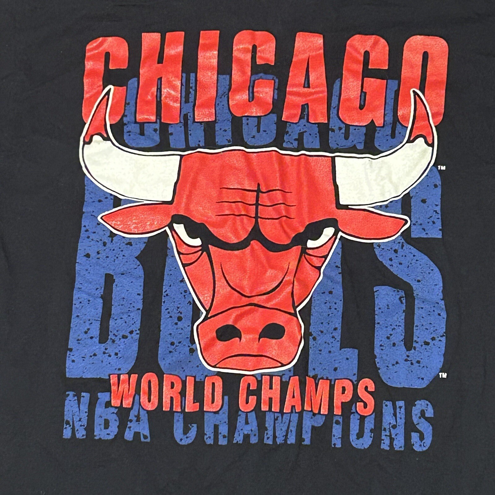 Vintage Chicago Bulls World Champs Tee Mens Large Artex USA gallery