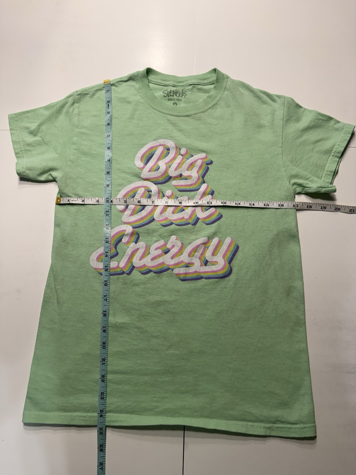 Spencer’s Big Dick Energy Funny Graphic T Shirt Green Rainbow Adult S gallery