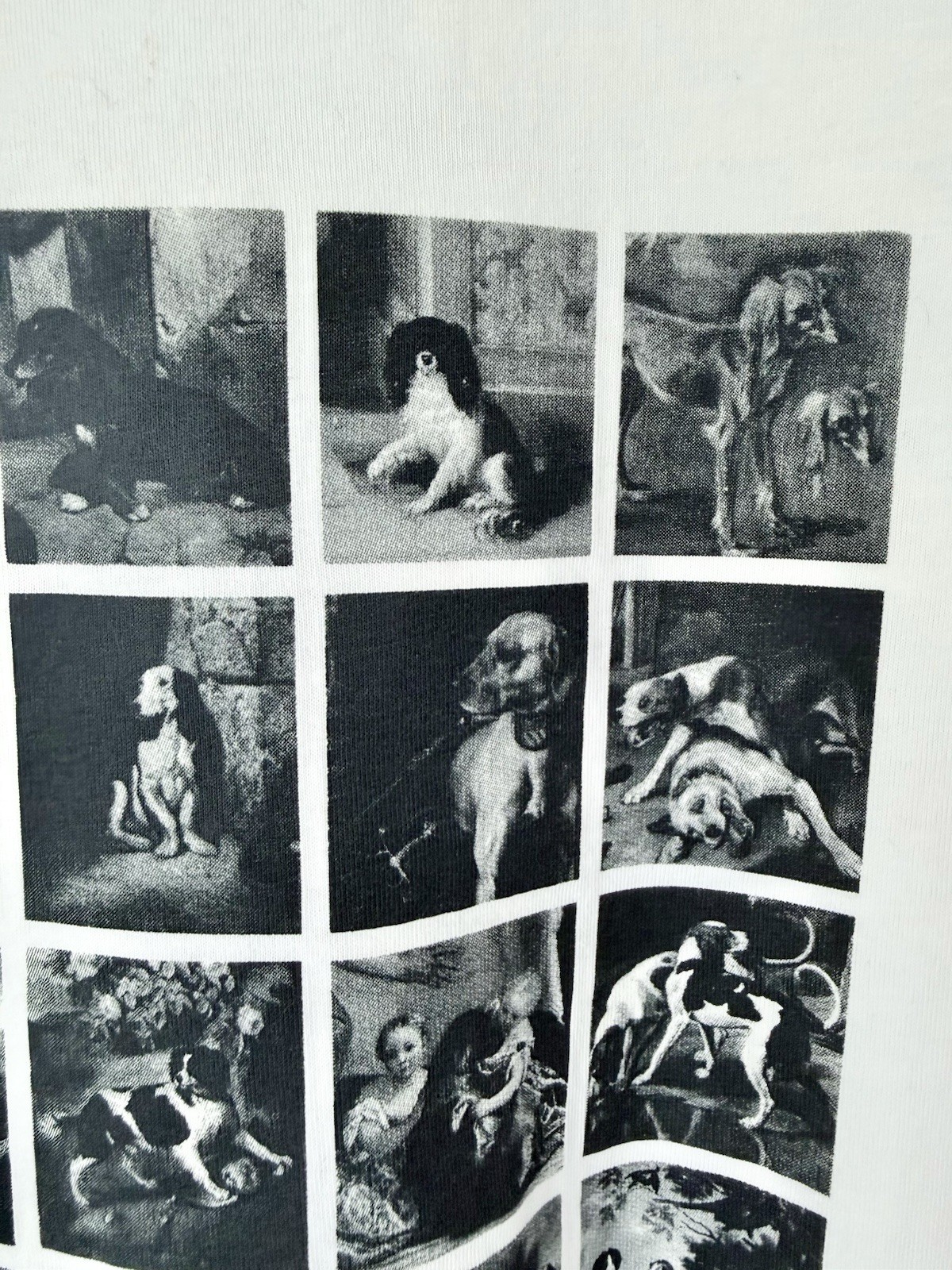 Uniqlo UTGP Louvre Museum Dog Art Graphic Tee White Size L | Paws of the Louvre gallery