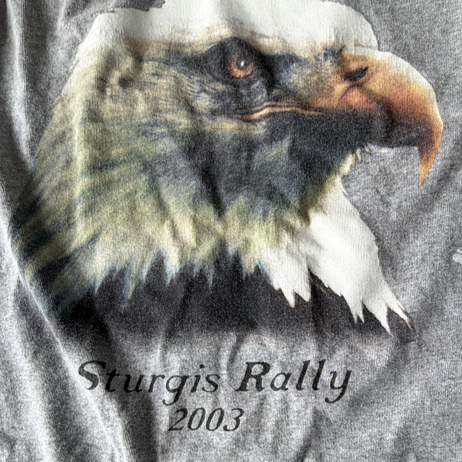 Sturgis Rally 2003 Eagle Mt Rushmore Gray Graphic Tee 2XL Stained Collar gallery