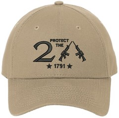 Protect The 2nd Amendment New Era Embroidered One Size Fits All Baseball Hats