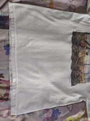 VTG Wild Wings JERZEES Heavyweight Blend T Shirt Pheasants Medium