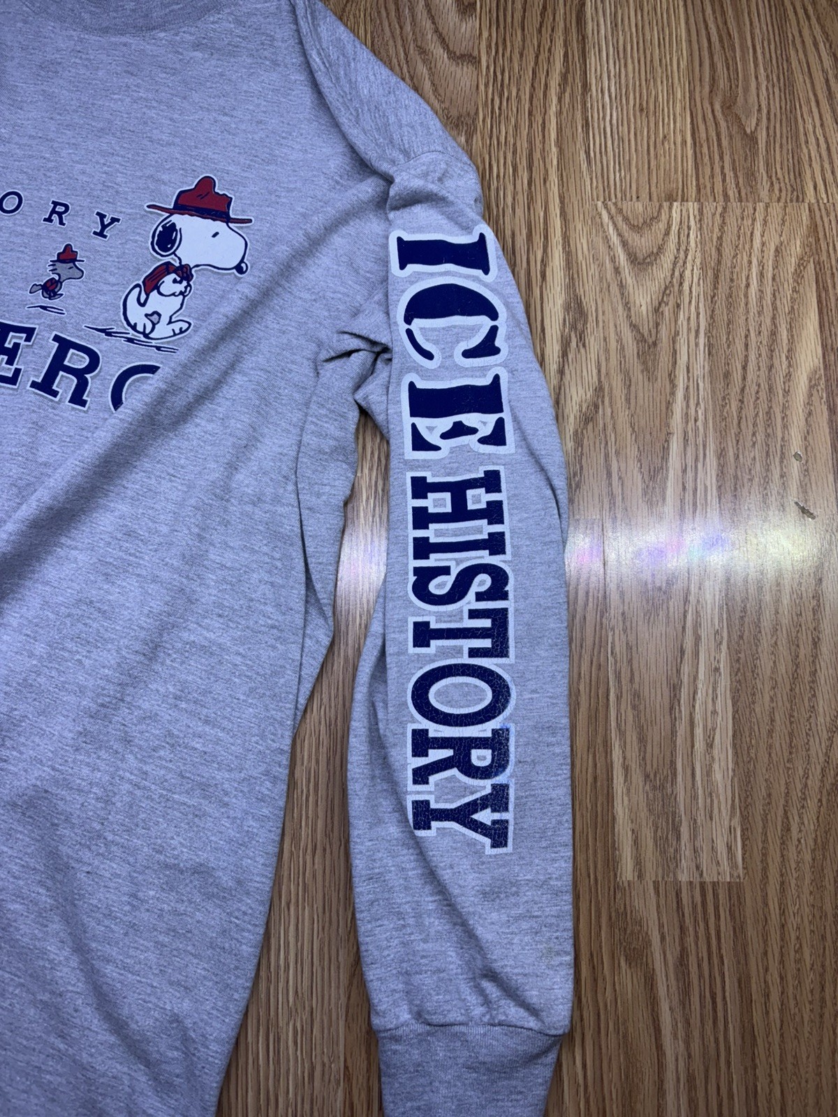 Vtg 90s Iceberg History Peanuts Snoopy Grey long sleeve sz. XL Hiphop gallery