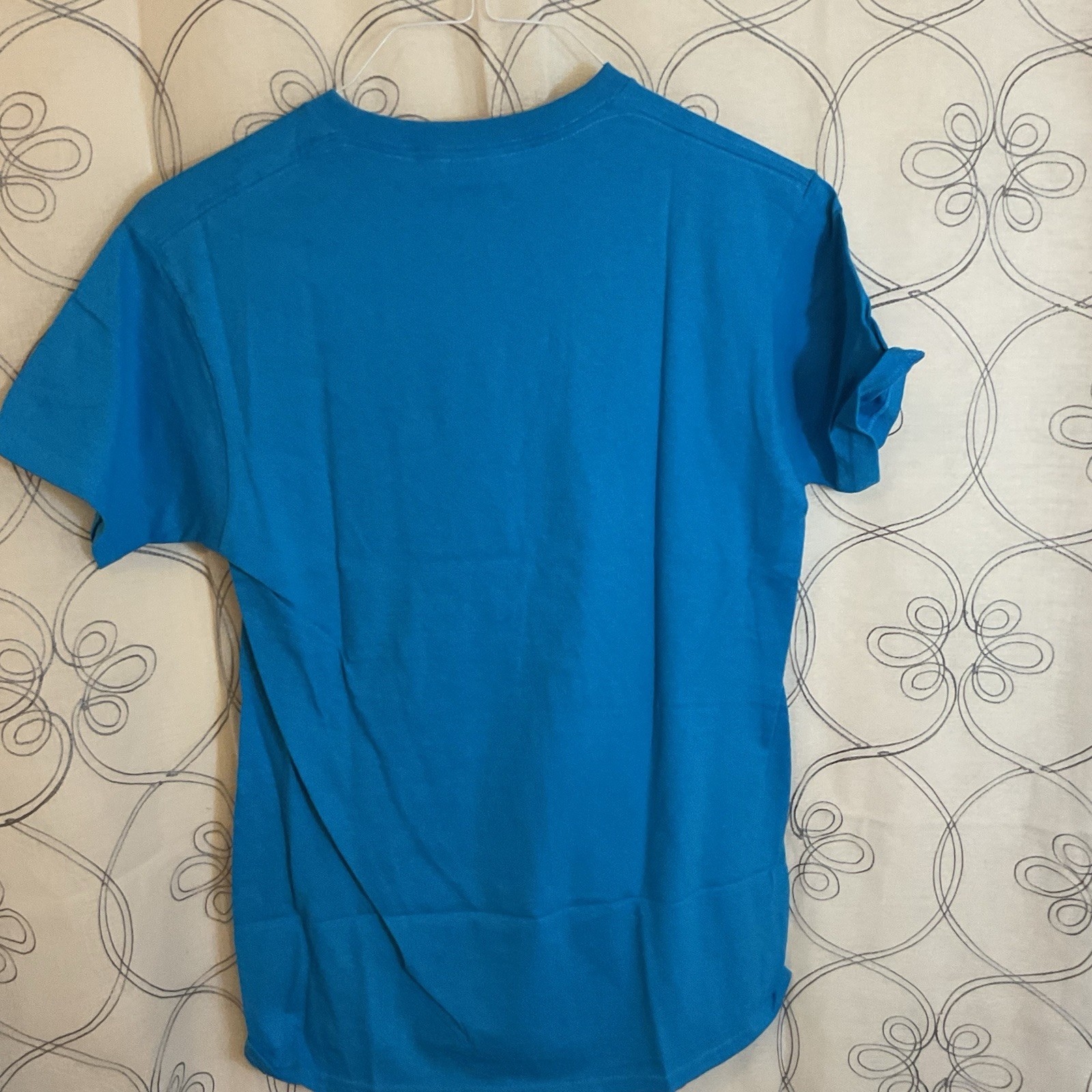 Delta Pro Weight Funny Graphic T-Shirt Adult Small Blue “Kind of Give a Damn” gallery