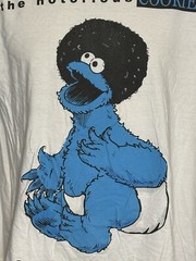 2 – Sesame Street Shirts – Size Medium – Cookie Monster And Elmo