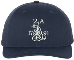 Gun 2A 2nd Amendment Richardson Embroidered One Size Fits All Baseball Hats