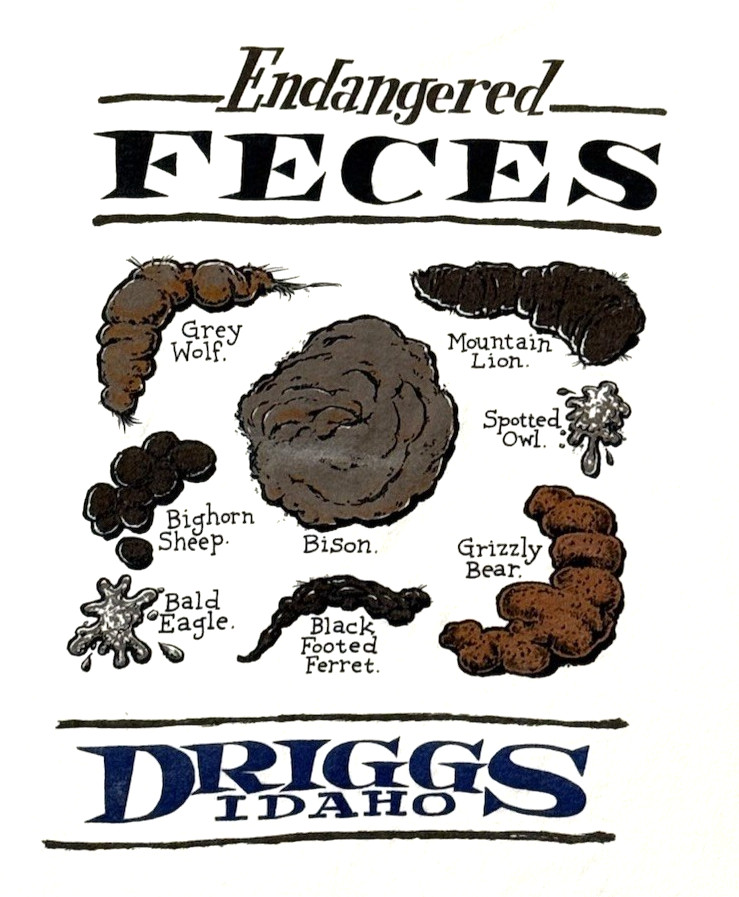 Vintage Endangered Feces Funny T Shirt Single Stitch Ferret Driggs Idaho M gallery