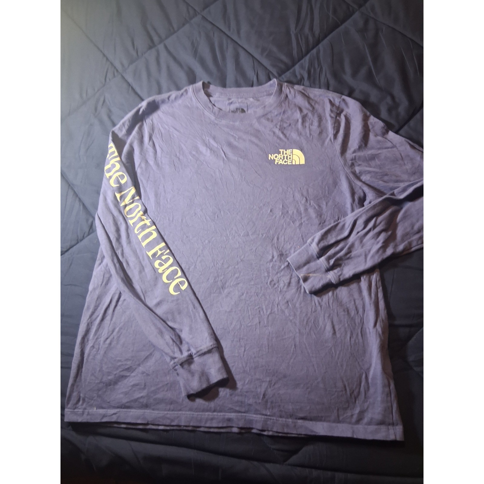 The North Face Mens Long Sleeve Graphic T-Shirt Purple Mountain Logo Large