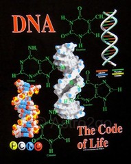 DNA-THE CODE OF LIFE–Genetics Chromosomes Helix Biology Science T shirt S-5XL