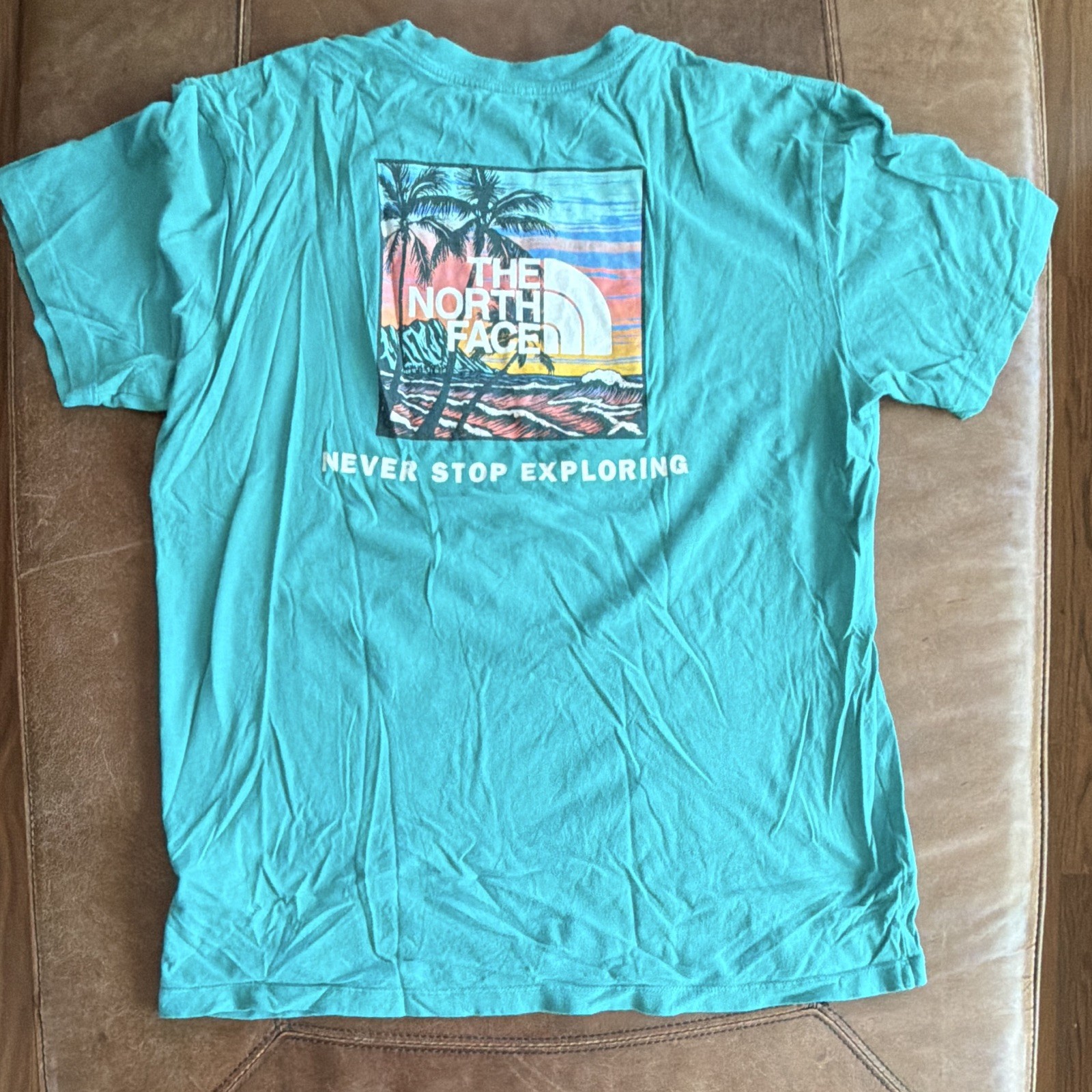 The North Face Men's Turquoise Graphic Logo Crew Neck Cotton Tee Shirt, M gallery