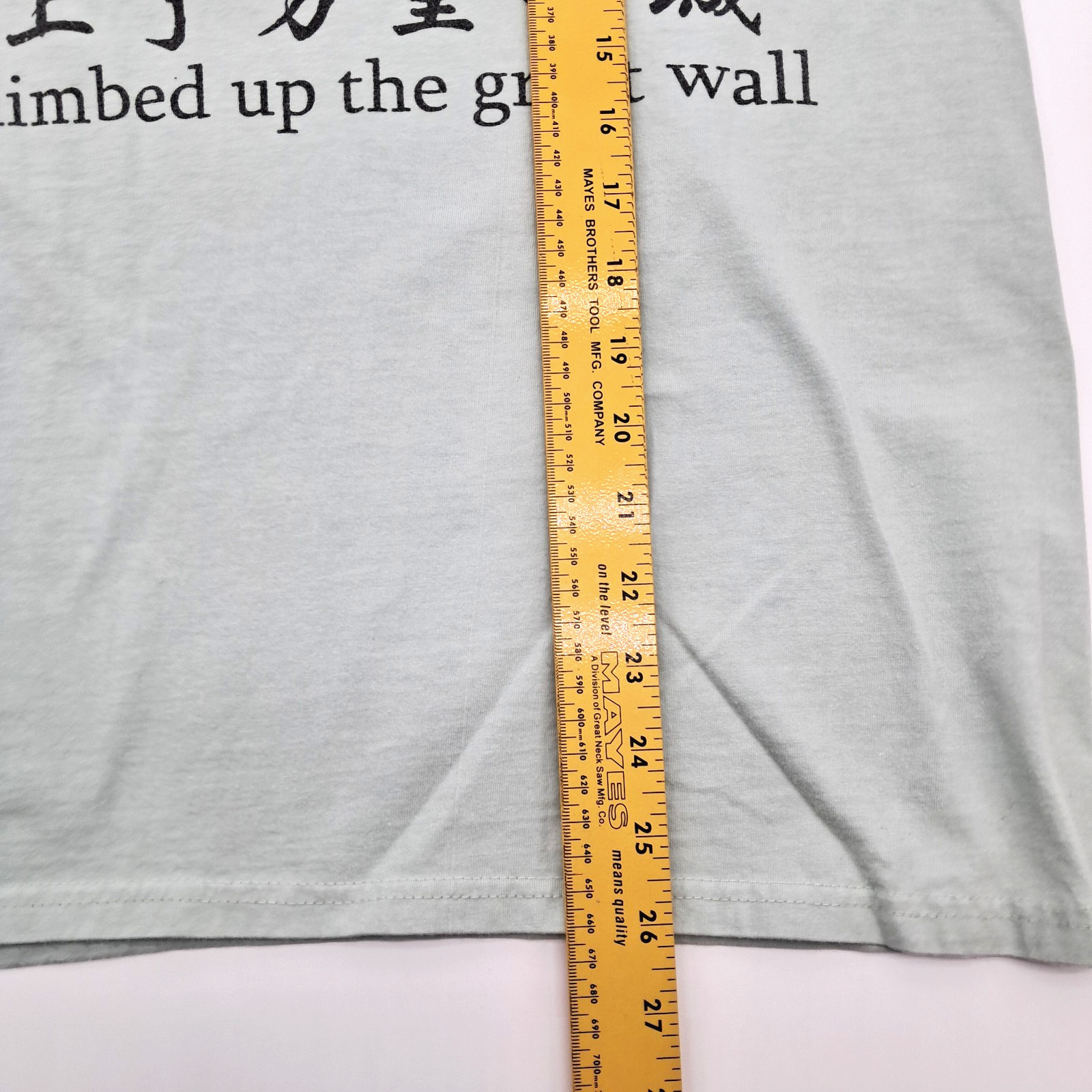 VTG I Have Climbed Up the Great Wall Graphic China T-Shirt Size L Sage Green gallery