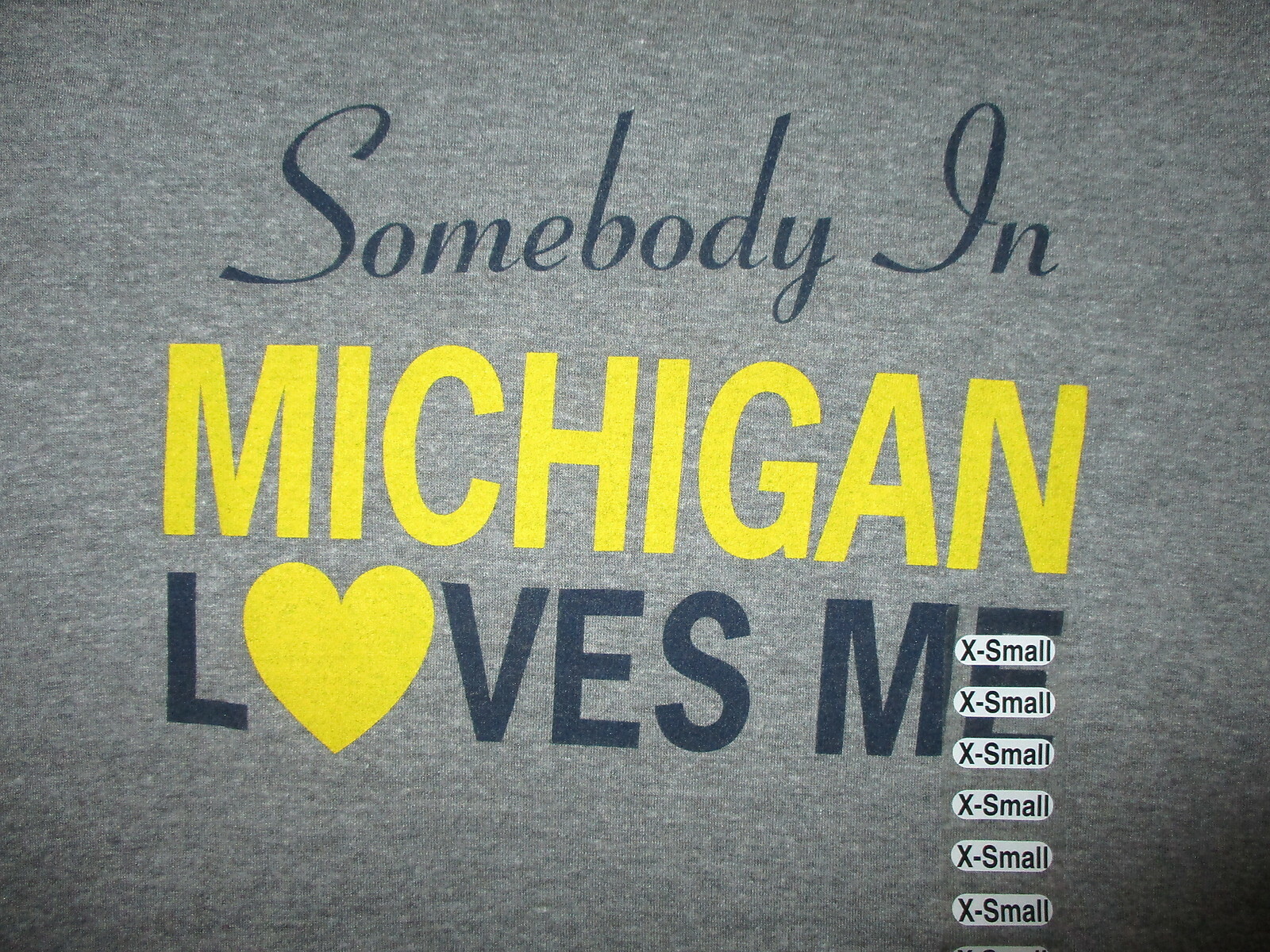 NWT SOMEBODY IN MICHIGAN LOVES ME T SHIRT Rayon Cotton TriBlend JUPMode Adult XS gallery