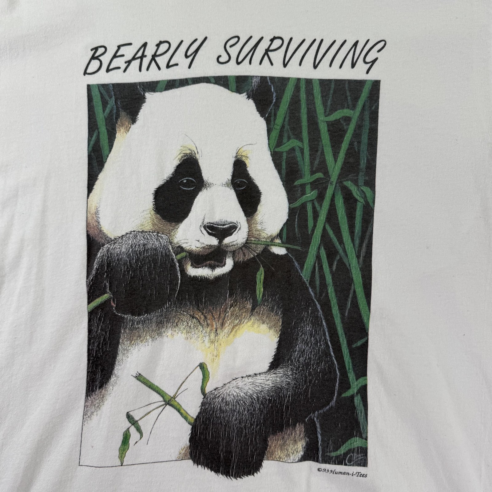 Vintage 1993 Human-i-Tees Shirt Mens M White Bearly Surviving Panda Tee Nature gallery