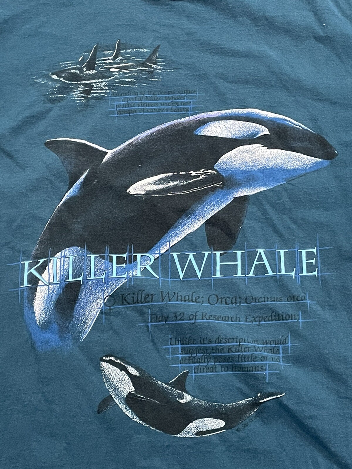Vintage Y2K Killer Whale Sea World San Diego T-shirt XL gallery
