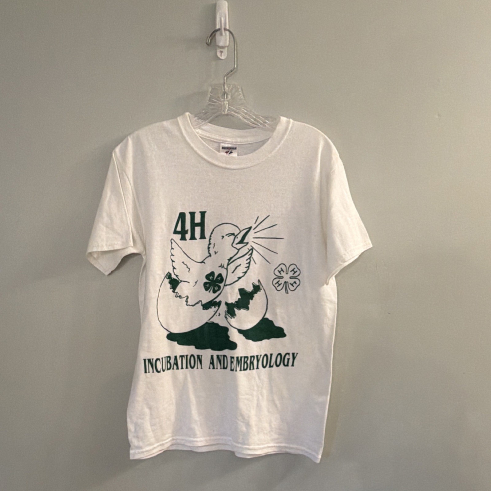 VTG 90s/00s 4-H Club T-shirt, Jerzees, Incubation & Embryology, EUC, Adult Sz SM gallery