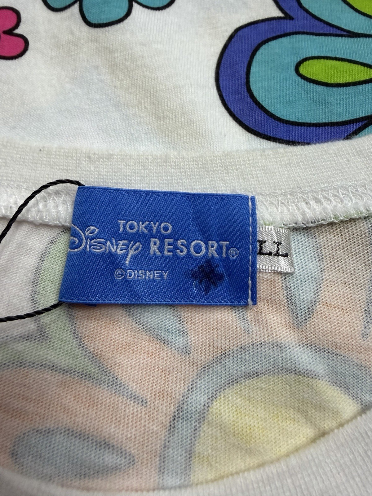 Tokyo Disney Resort gallery