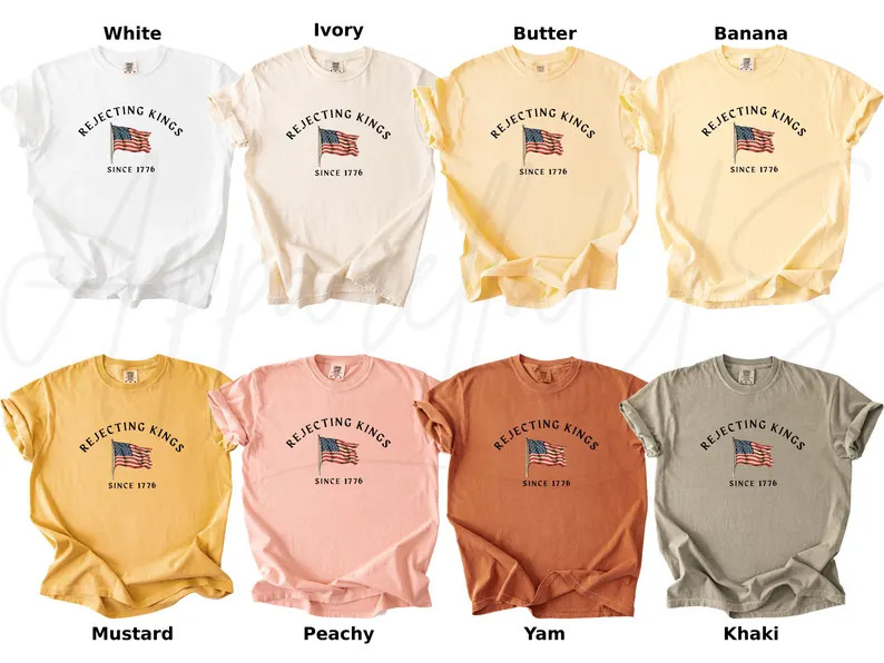 No Kings in America Since 1776 Shirt Patriotic Protest July 4th Tee gallery