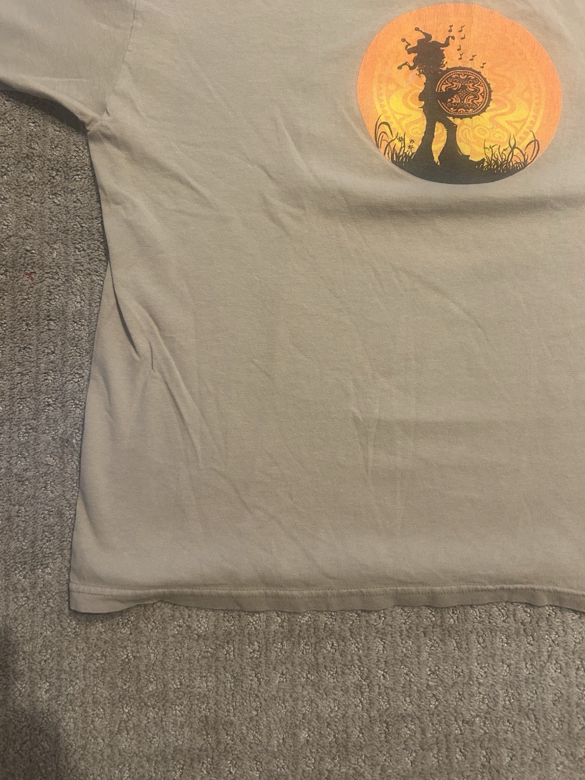 Vintage Govt Mule T-shirt Size XL Tour Jam Band 2005 Caravan Tour Art Music gallery