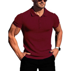 Men’s Elegant Lightweight Slim Stretchy Fabric Sports Polo Breathes Summer