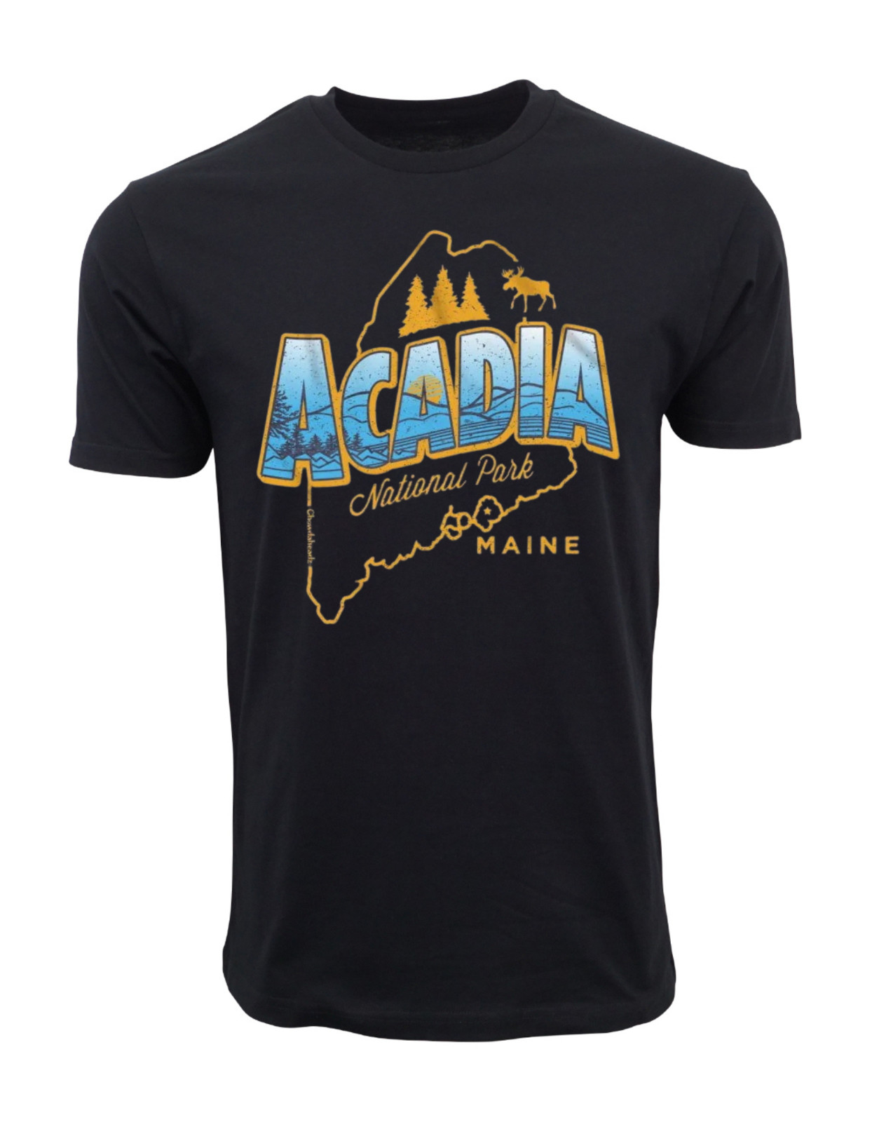 ACADIA NATIONAL PARK MENS T SHIRT