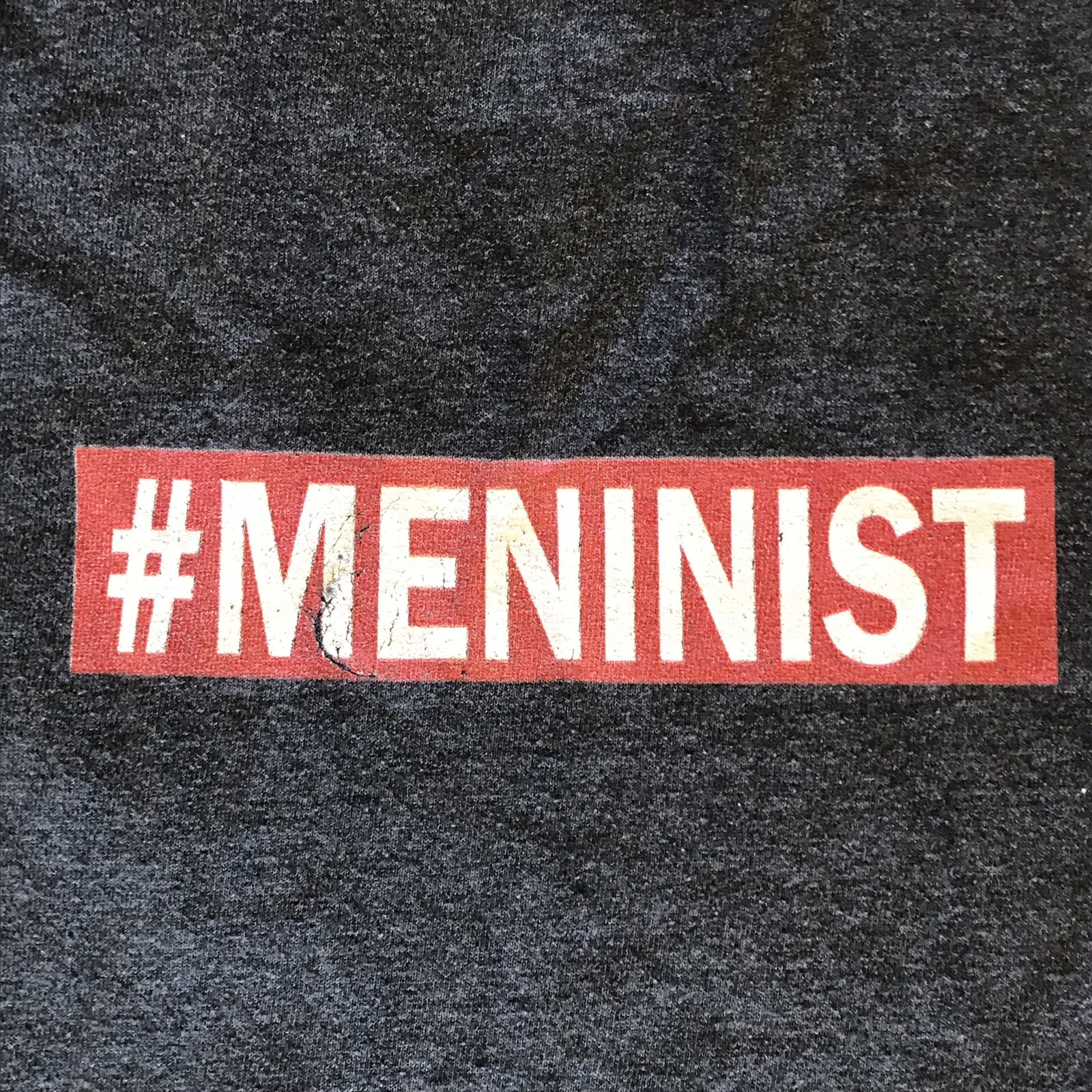 Meninist T Shirt Anti Feminism Pro Men’s Rights Gray XL Red pill gallery