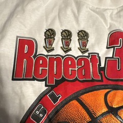 Vtg Chicago Bulls 1998 NBA Finals Repeat 3 Peat Mens Lrg Champions New T Shirt
