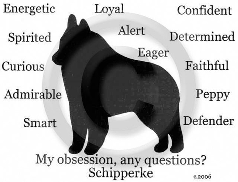 Schipperke Dog My Obsession, Any Questions? T-shirt Choices
